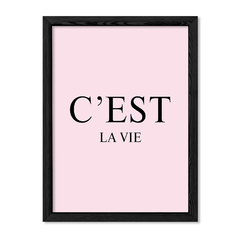 Cuadro Cest la vie en internet