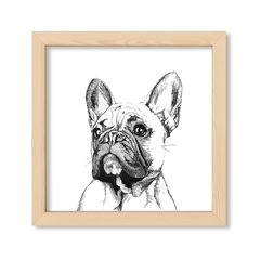 Cuadro Fashion dog
