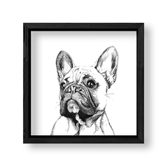 Imagen de Cuadro Fashion dog
