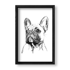 Imagen de Cuadro Fashion dog