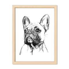 Cuadro Fashion dog
