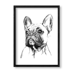 Imagen de Cuadro Fashion dog