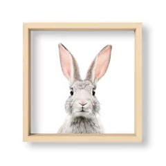Cuadro Bunny - El Nido - Tienda de Objetos