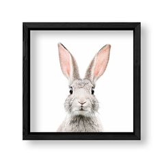 Imagen de Cuadro Bunny