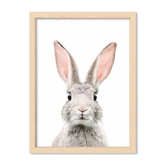 Cuadro Bunny