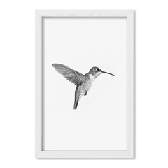 Cuadro Colibri - comprar online