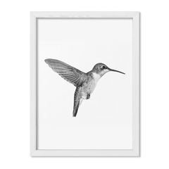 Cuadro Colibri - comprar online