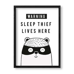 Imagen de Cuadro Sleep Thief Lives Here