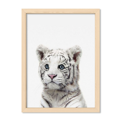 Cuadro Baby Tigre blanco