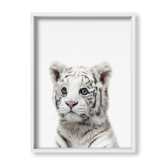 Cuadro Baby Tigre blanco - tienda online