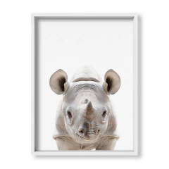 Cuadro Baby Rino - tienda online