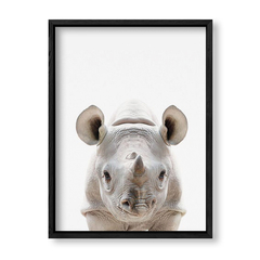 Imagen de Cuadro Baby Rino