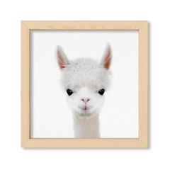 Cuadro Baby Llama