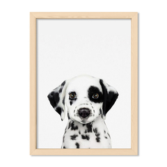Cuadro Baby Perro