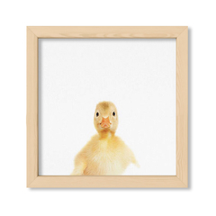 Cuadro Baby Pato