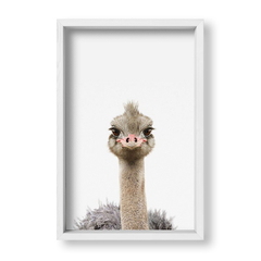 Cuadro Baby Avestruz - tienda online