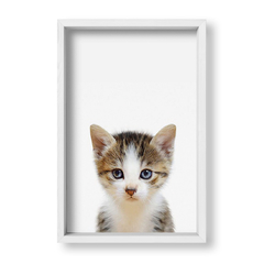 Cuadro Baby Gato - tienda online