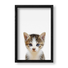 Imagen de Cuadro Baby Gato