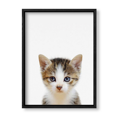 Imagen de Cuadro Baby Gato