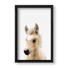 Imagen de Cuadro Baby Caballo