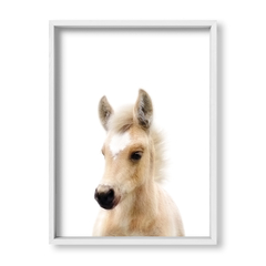 Cuadro Baby Caballo - tienda online