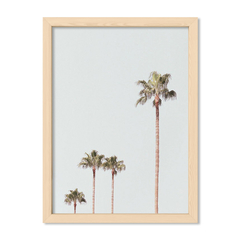 Cuadro Top Palms