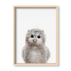 Cuadro Baby Buho - El Nido - Tienda de Objetos