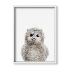 Cuadro Baby Buho - tienda online