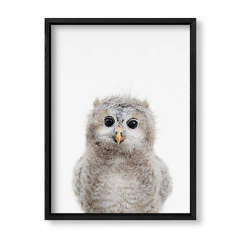 Imagen de Cuadro Baby Buho