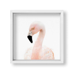 Cuadro Baby Flamingo - tienda online