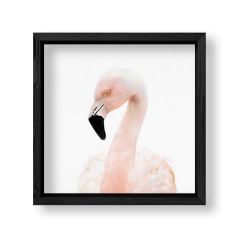 Imagen de Cuadro Baby Flamingo