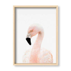Cuadro Baby Flamingo - El Nido - Tienda de Objetos