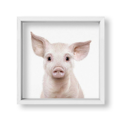 Cuadro Baby Chancho - tienda online