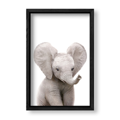 Imagen de Cuadro Baby Elefante