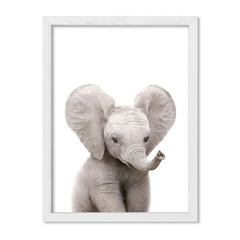 Cuadro Baby Elefante - comprar online