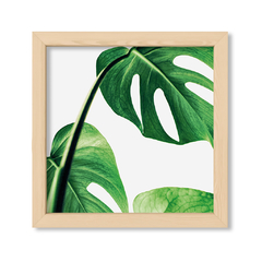 Cuadro Green Botanic Leaves 1