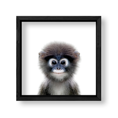 Imagen de Cuadro Baby Mono