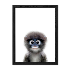 Cuadro Baby Mono en internet
