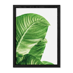 Cuadro Green Botanic Leaves 3 en internet