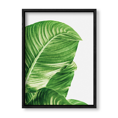 Imagen de Cuadro Green Botanic Leaves 3