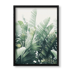 Imagen de Cuadro Green Botanic Leaves 4