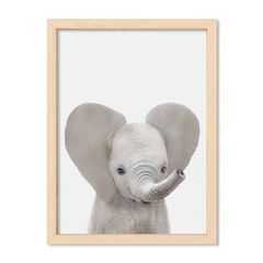 Cuadro Baby Elefante Frente