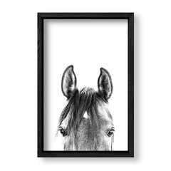 Imagen de Cuadro Black and White Horse