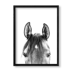 Imagen de Cuadro Black and White Horse