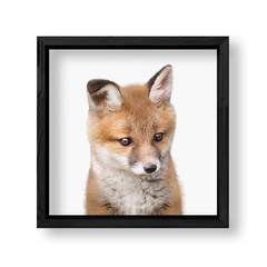 Imagen de Cuadro Baby Zorro Frente