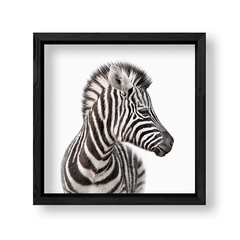 Imagen de Cuadro Baby Cebra Frente