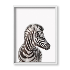 Cuadro Baby Cebra Frente - tienda online