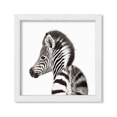Cuadro Baby Cebra Atras - comprar online