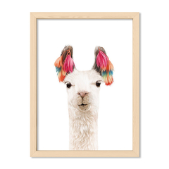 Cuadro Baby Llama Colorida