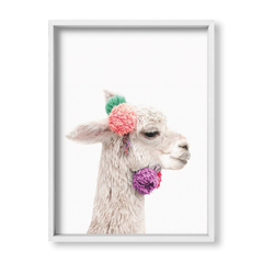 Cool Llama - tienda online